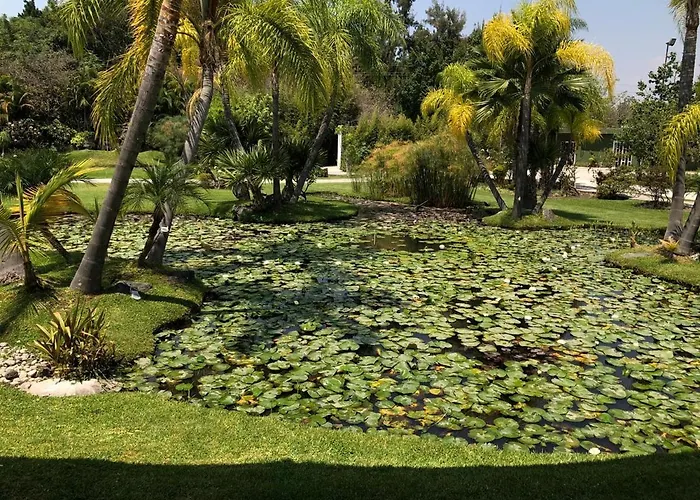 Huayacan Cuernavaca Curamoria Collection