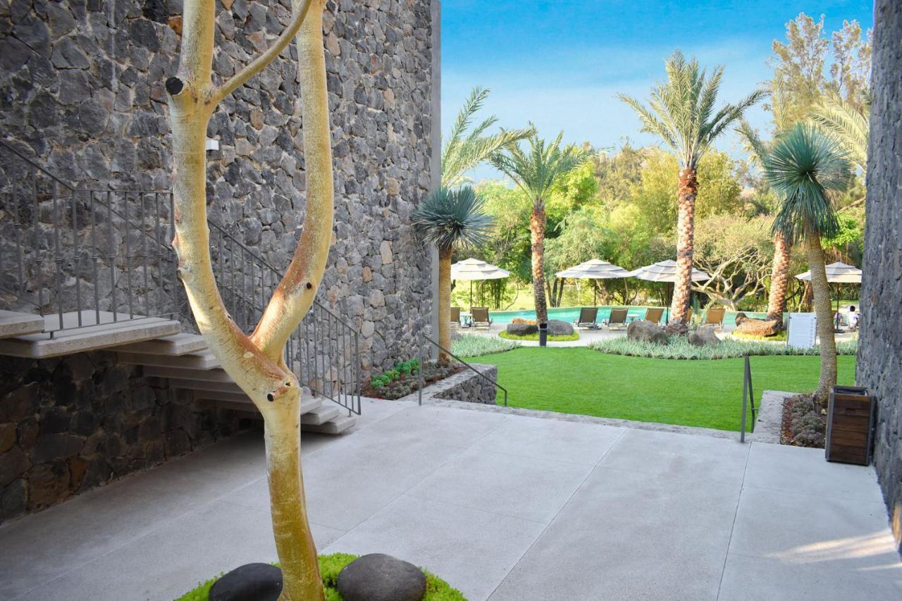 Hotel Huayacan Cuernavaca Curamoria Collection