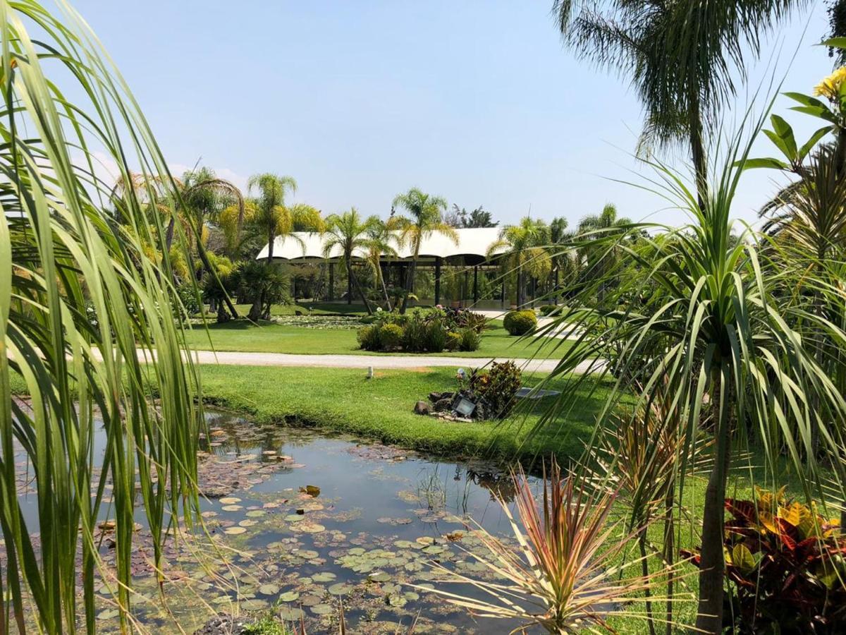 Hotel Huayacan Cuernavaca Curamoria Collection Jiutepec
