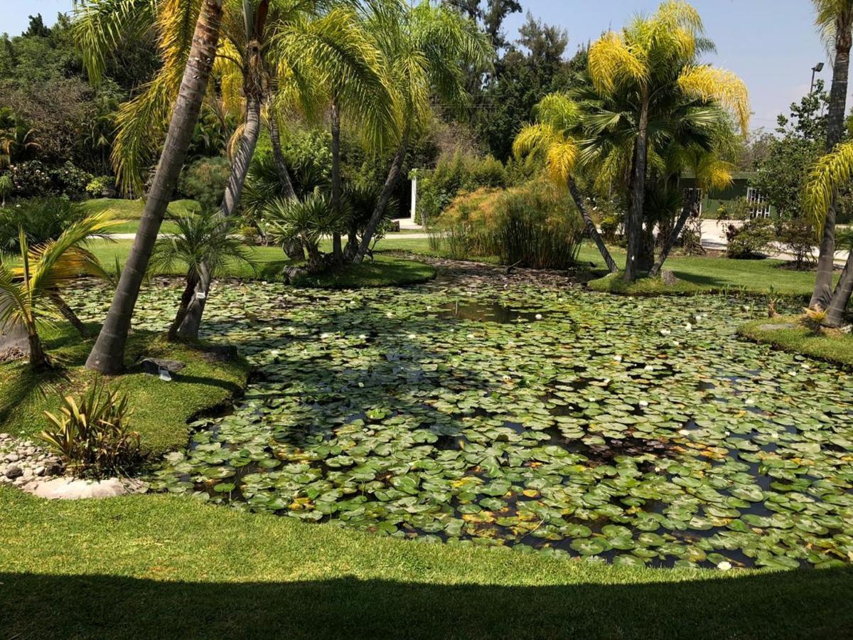 Huayacan Cuernavaca Curamoria Collection