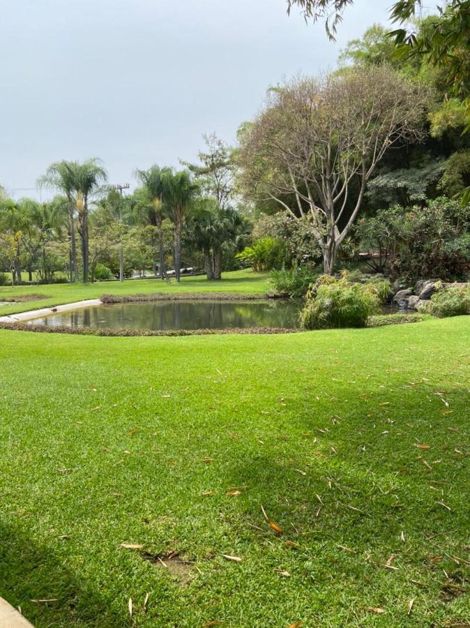 Huayacan Cuernavaca Curamoria Collection