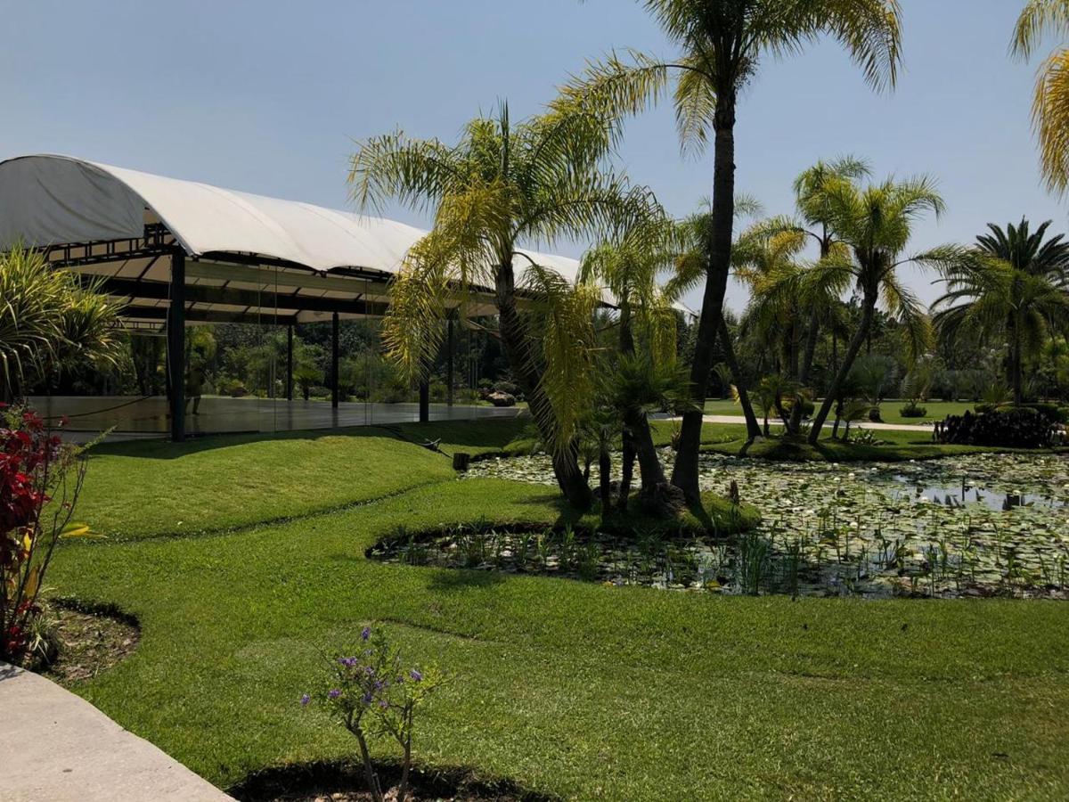 Huayacan Cuernavaca Curamoria Collection